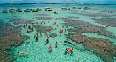 marlei-turismo-marleiturismo-maceio-maragogi-piscinas-naturais.jpg