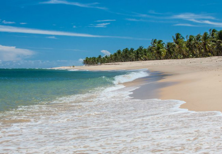 marlei-turismo-marleiturismo-maceio-praia.jpg
