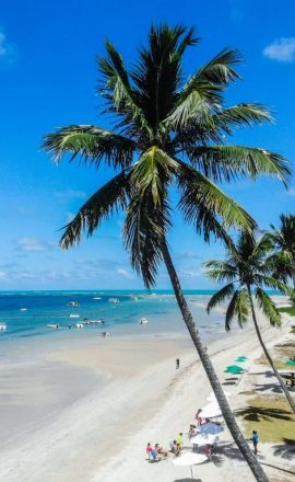 praias-pernambuco-marlei-turismo-marleiturismo-areia-coqueiros
