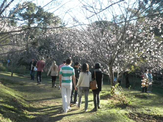 marleiturismo-viagens-excursoes-marlei-turismo-grupos-passeios-campos-do-jordao-festa-da-cerejeira-7.jpg